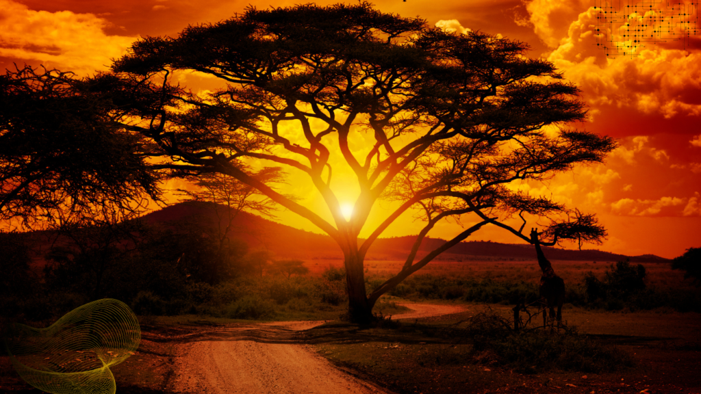 Our Travel Services (6)